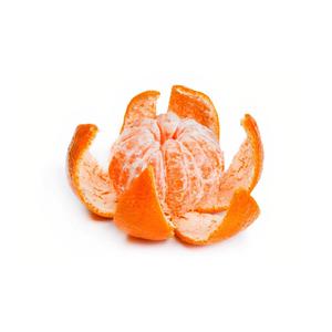 拍拍拍无档视屏人与兽
