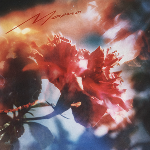 拍拍拍无档视屏人与兽
