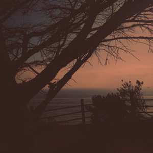 拍拍拍无档视屏人与兽
