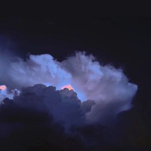 拍拍拍无档视屏人与兽
